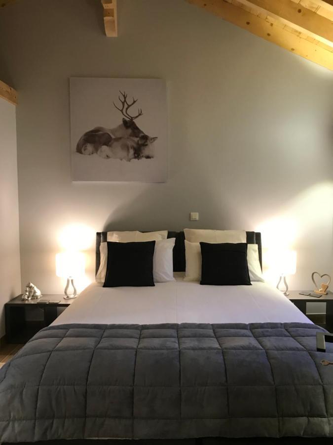 Chalet Barbara With Swimming Pool In The Heart Of Oisans Le Bourg-dʼOisans Εξωτερικό φωτογραφία
